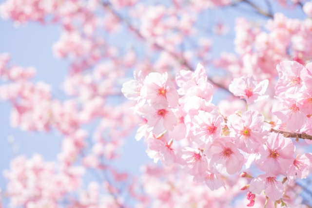 第六首 美紅の短歌「薄藍の~」短歌で紡ぐ架空の恋