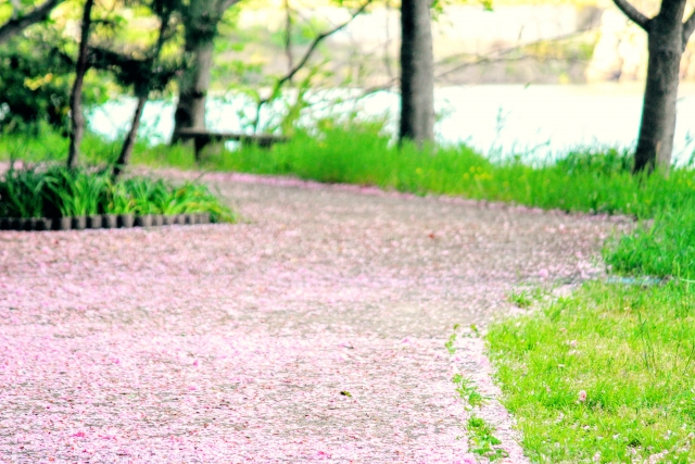 第二十五首 清史の短歌「花終わり〜」短歌で紡ぐ架空の恋